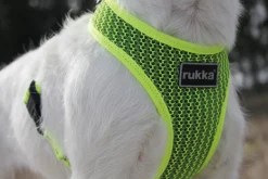 Rukka Pets Comfort air harness