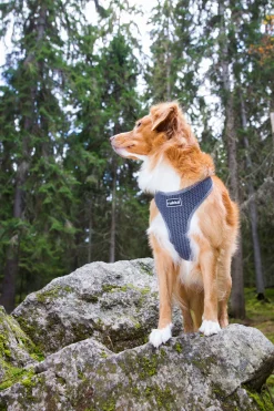 Rukka Pets Comfort air harness