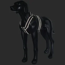 Rukka Pets Form harness