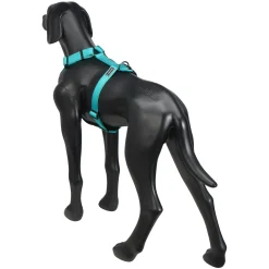 Rukka Pets Form harness