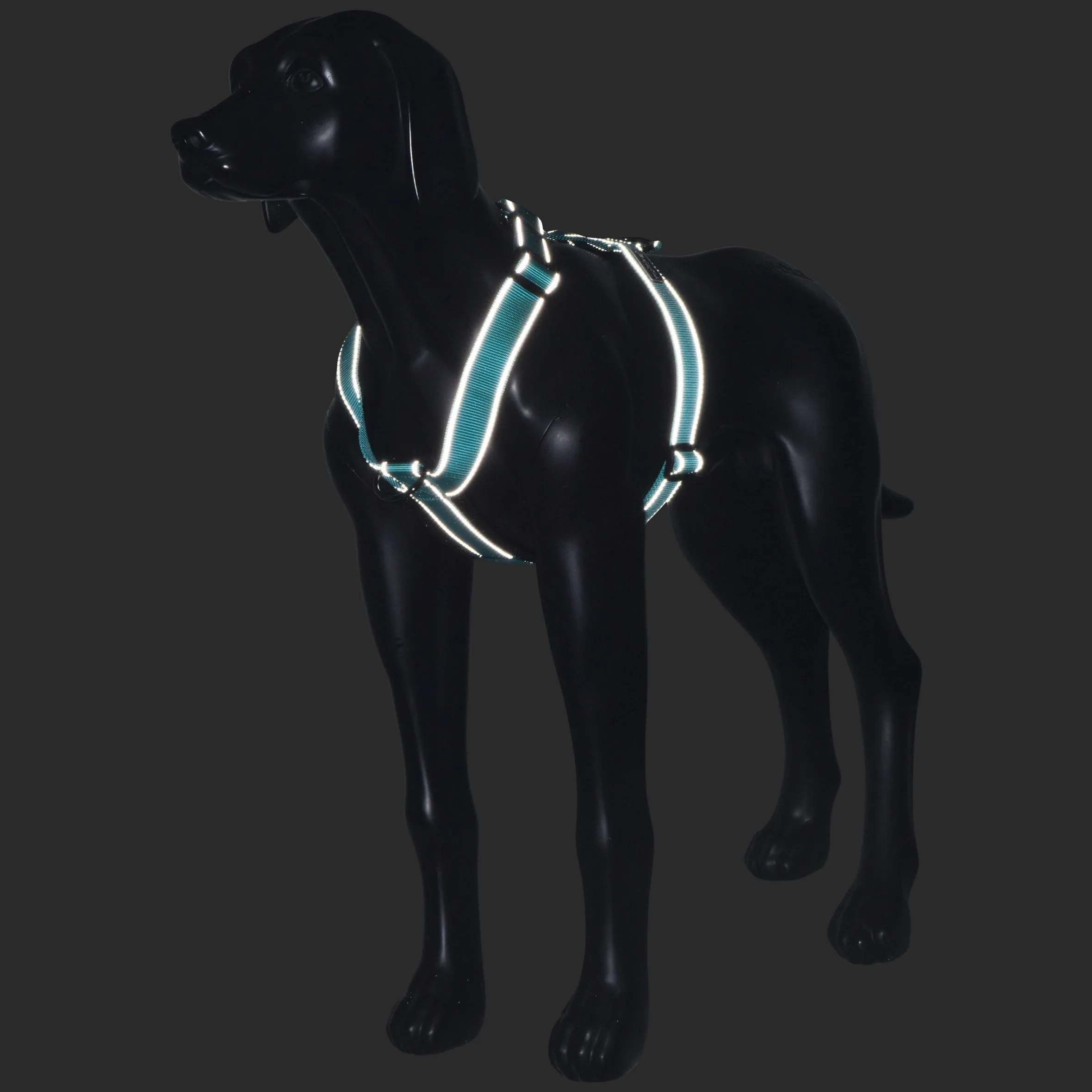 Rukka Pets Form harness