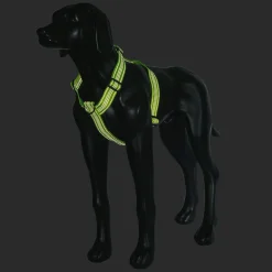 Rukka Pets Form neon harness