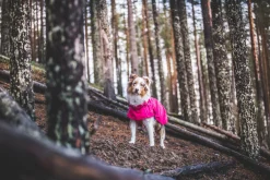 Rukka Pets Hase raincoat