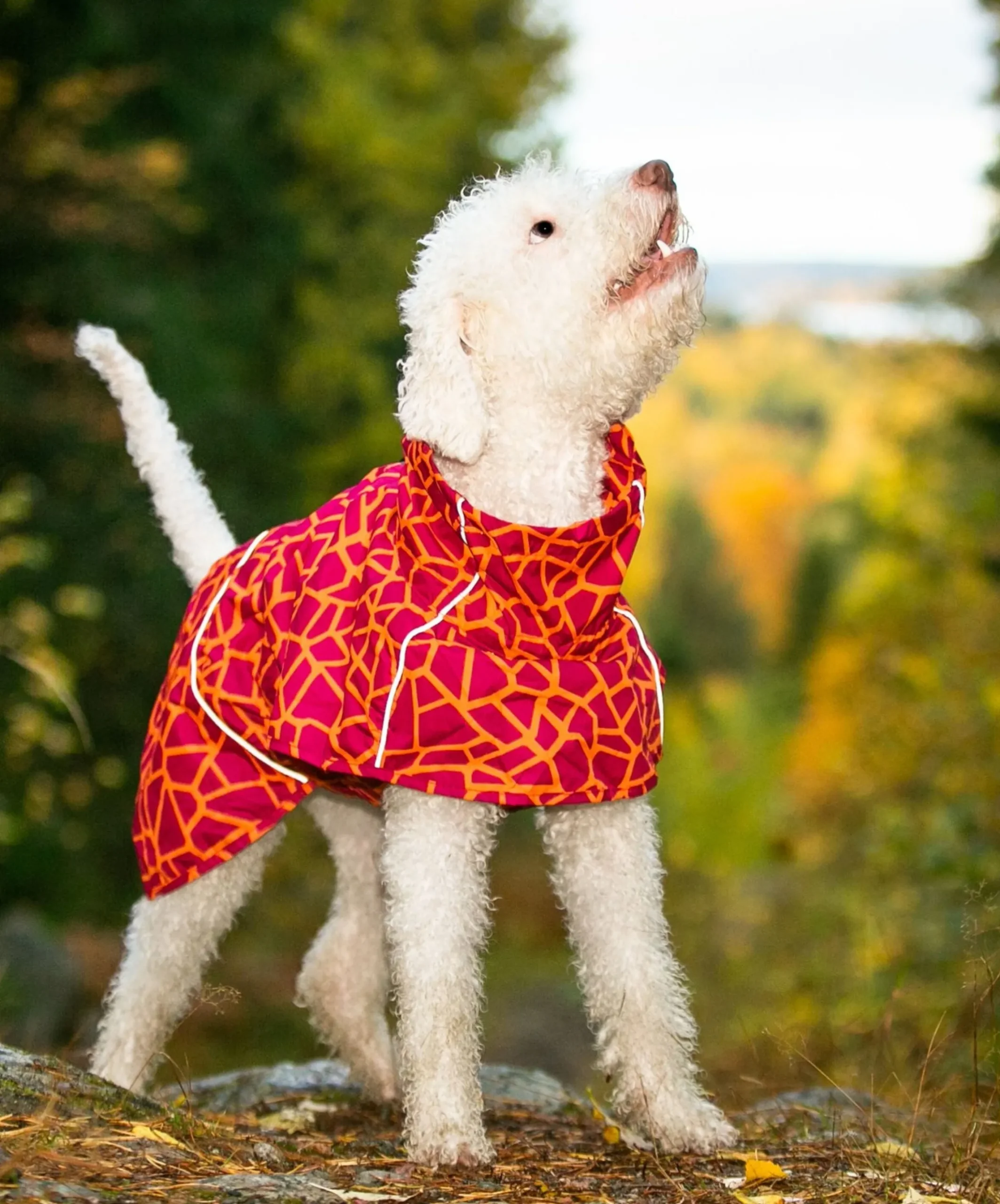 Rukka Pets Hayton warm raincoat