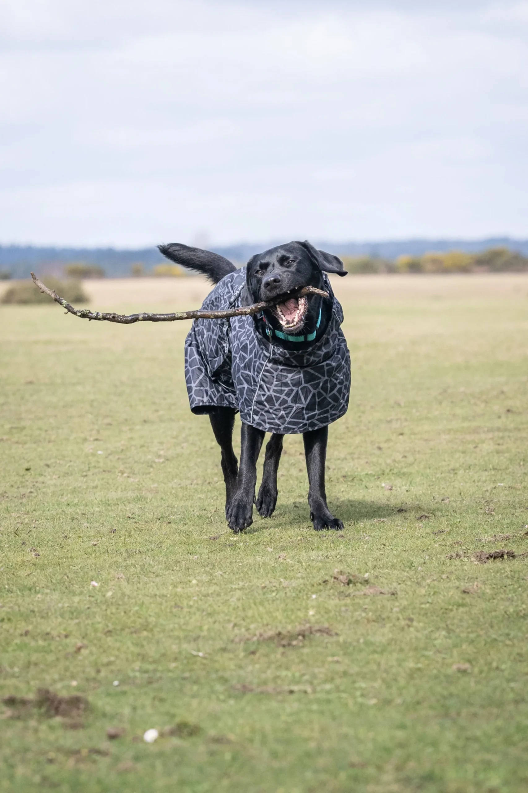 Rukka Pets Hayton warm raincoat