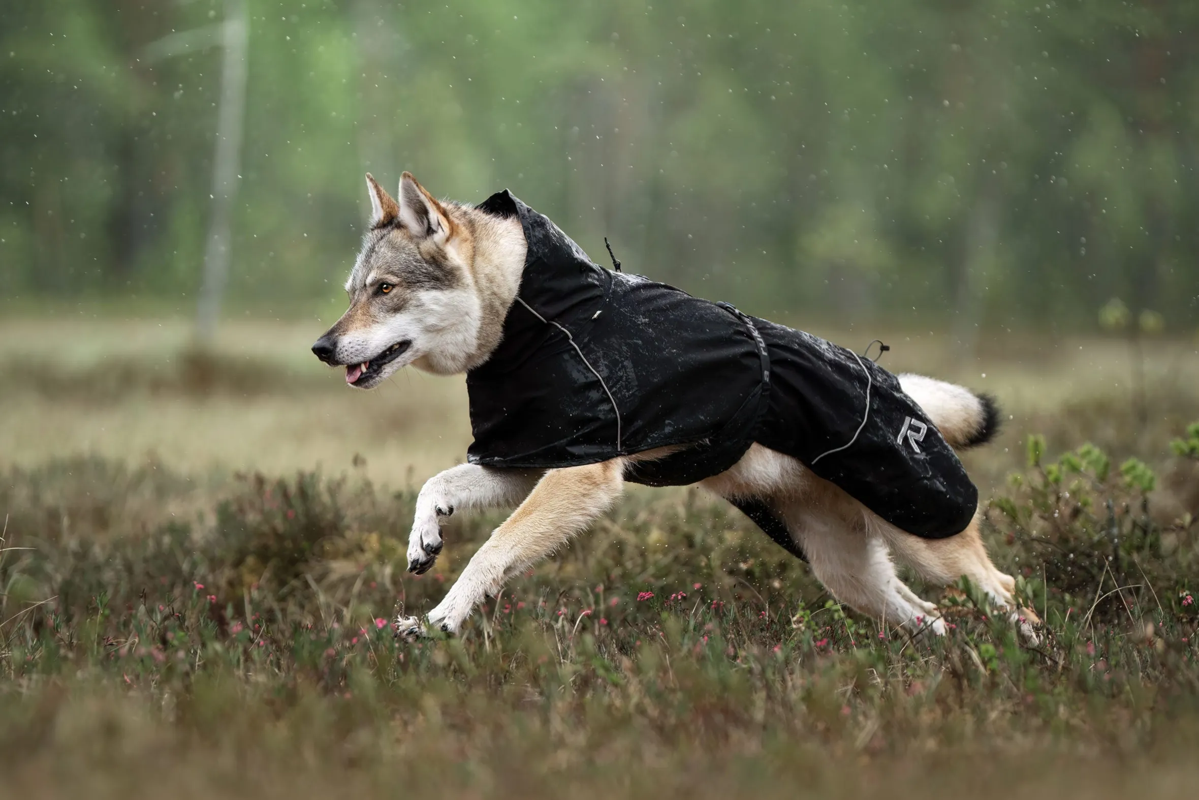 Rukka Pets Hayton x raincoat