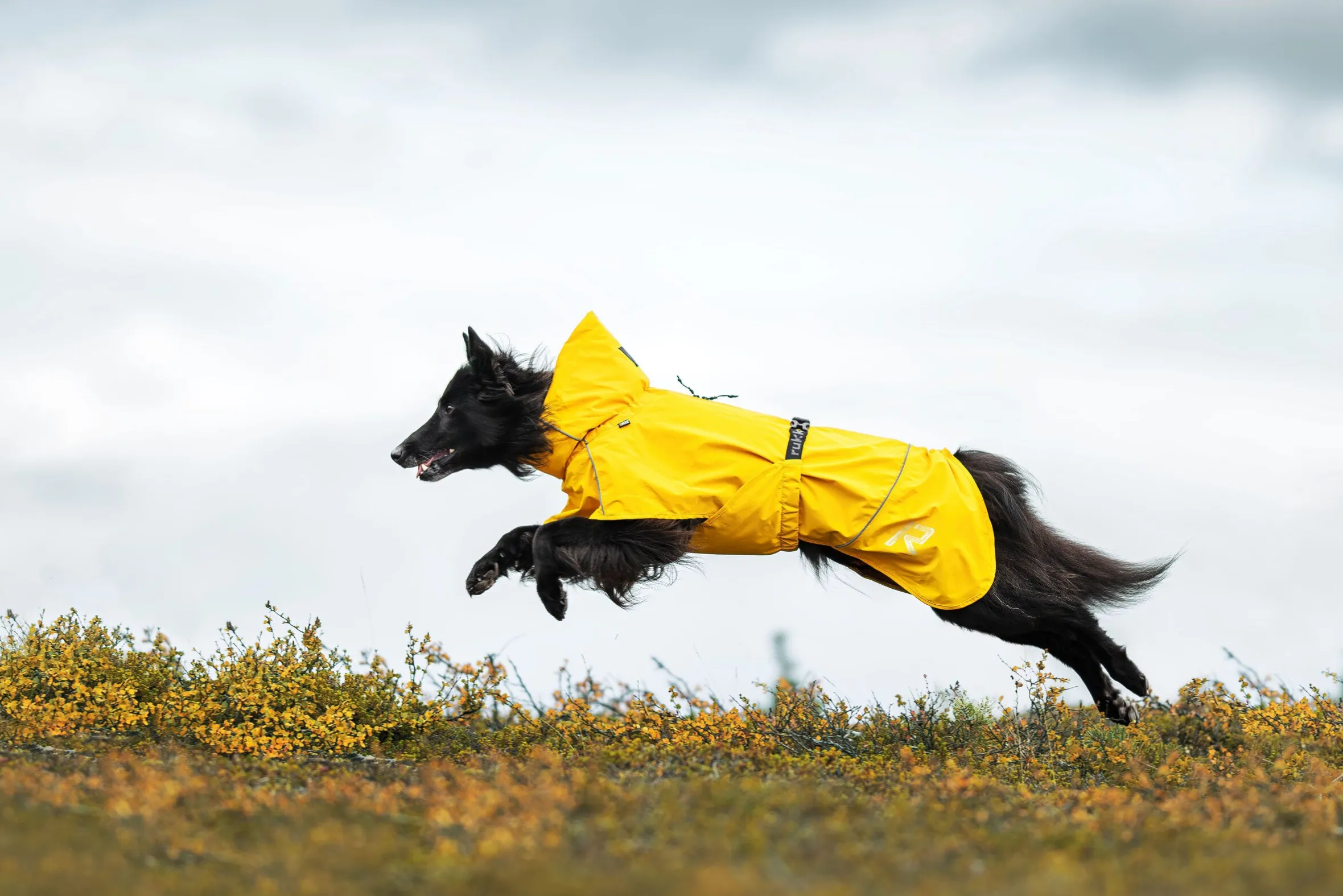 Rukka Pets Hayton x raincoat