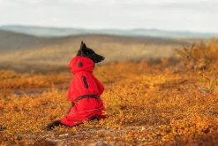 Rukka Pets Hayton x raincoat