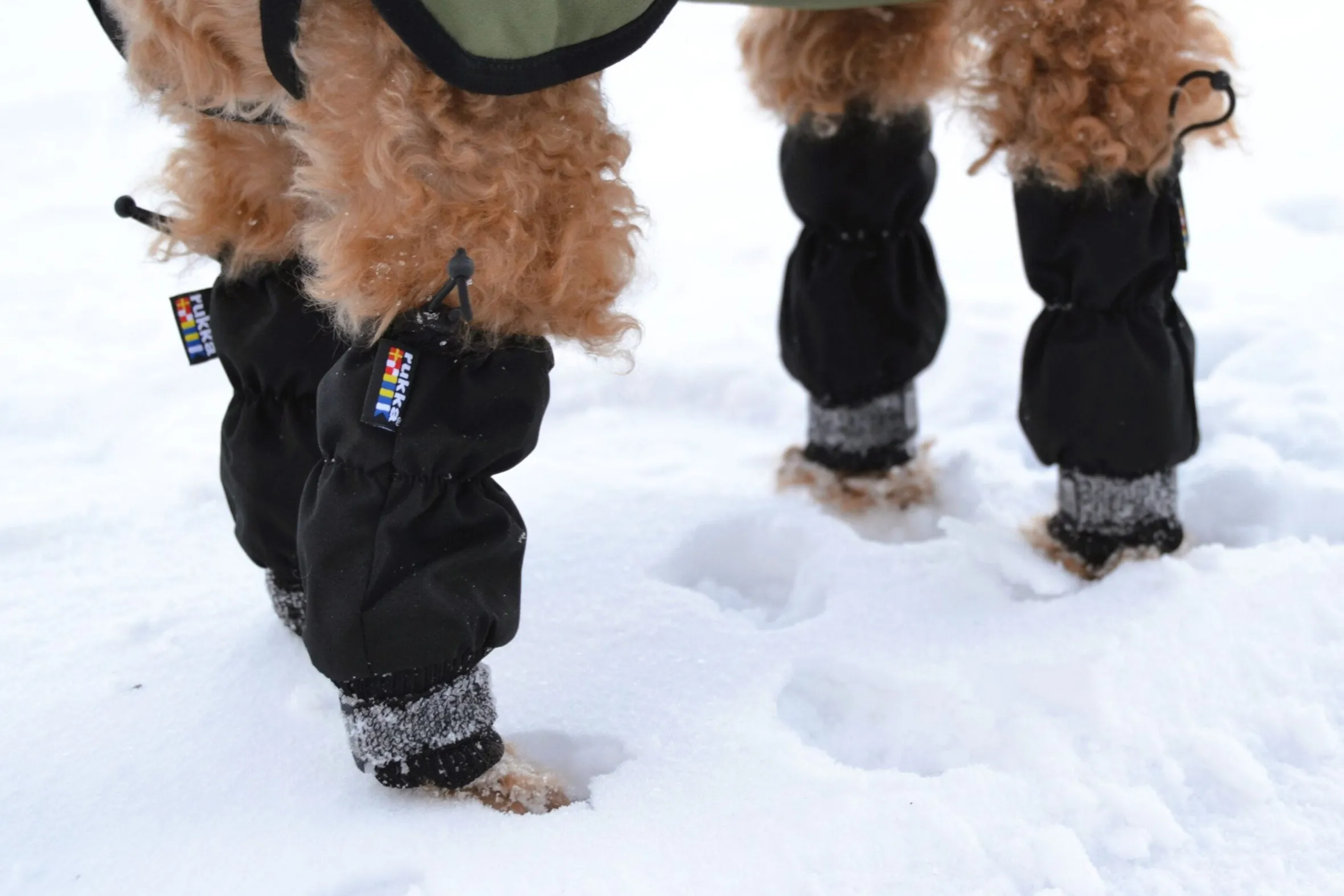 Rukka Pets Line Leg Covers