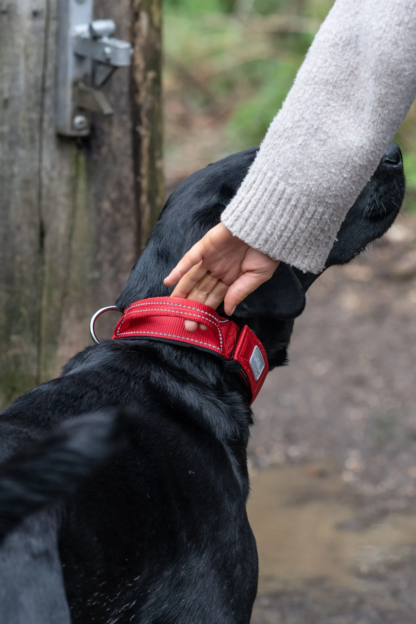 Rukka Pets Mission collar
