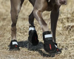Rukka Pets Proff shoes 2 pcs