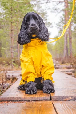 Rukka Pets Protect overall