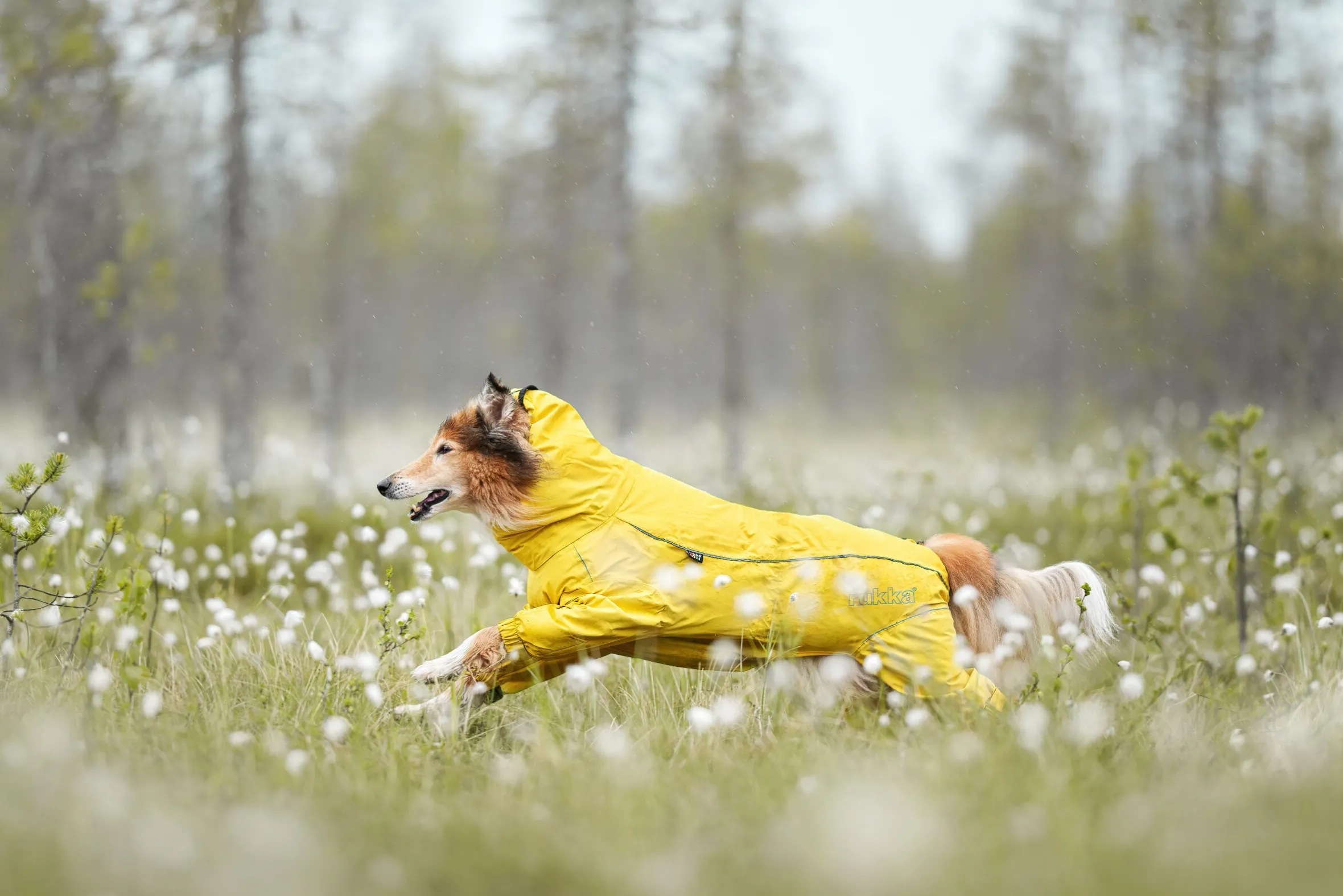 Rukka Pets Protect overall