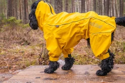 Rukka Pets Protect overall