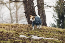 Rukka Pets Protect overall