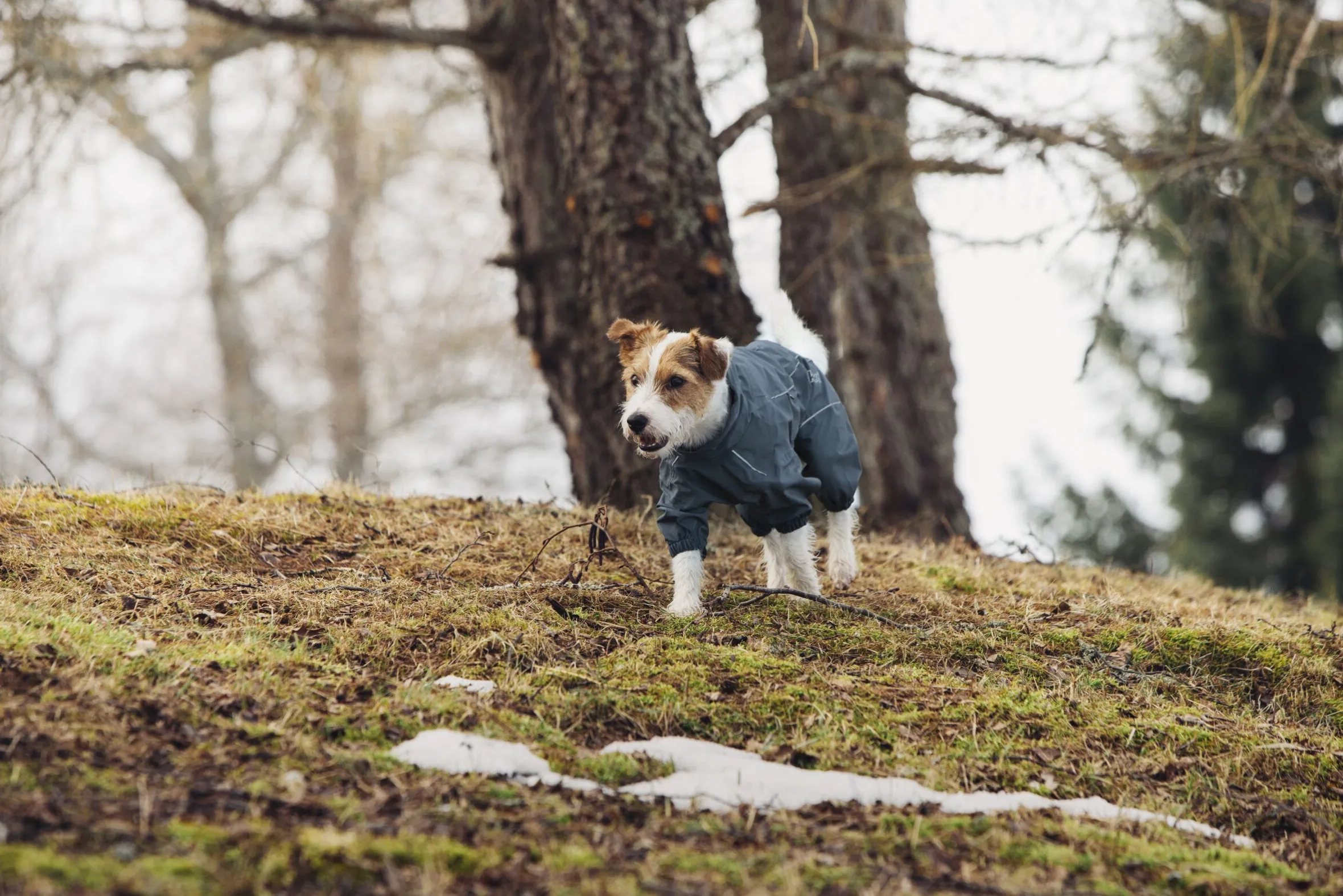 Rukka Pets Protect overall