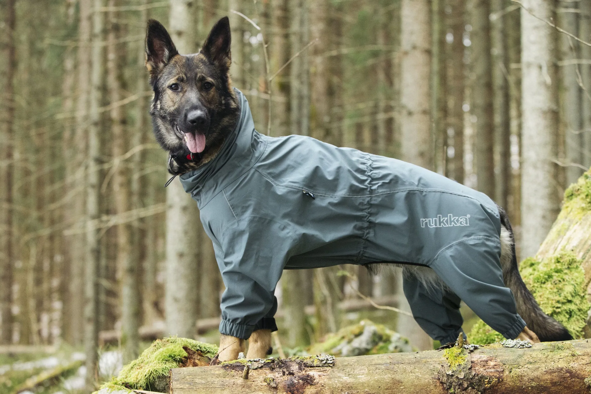 Rukka Pets Protect overall