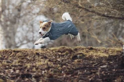 Rukka Pets Protect overall