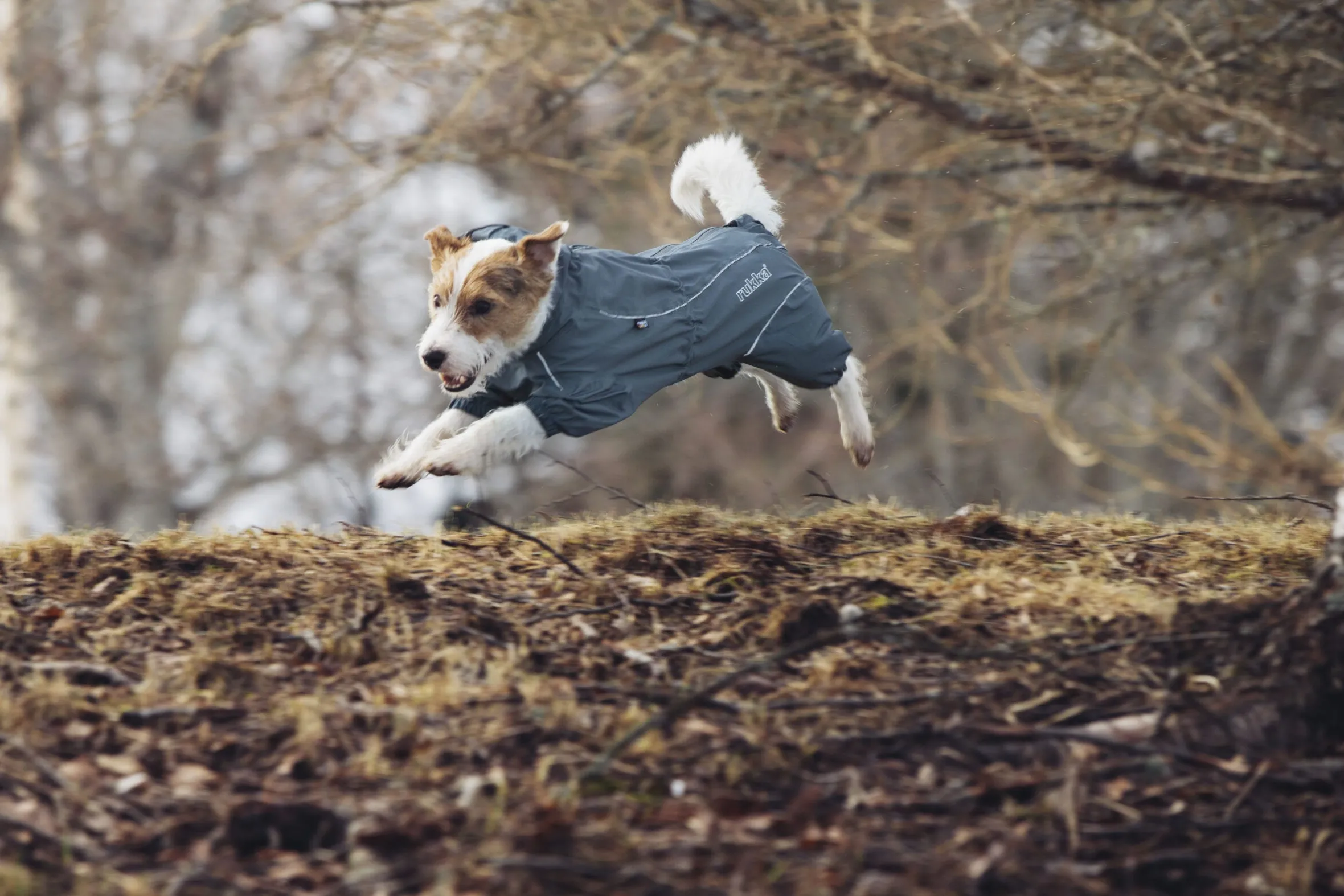 Rukka Pets Protect overall