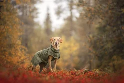 Rukka Pets Ripple Raincoat