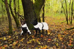 Rukka Pets Shine raincoat