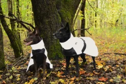 Rukka Pets Shine raincoat
