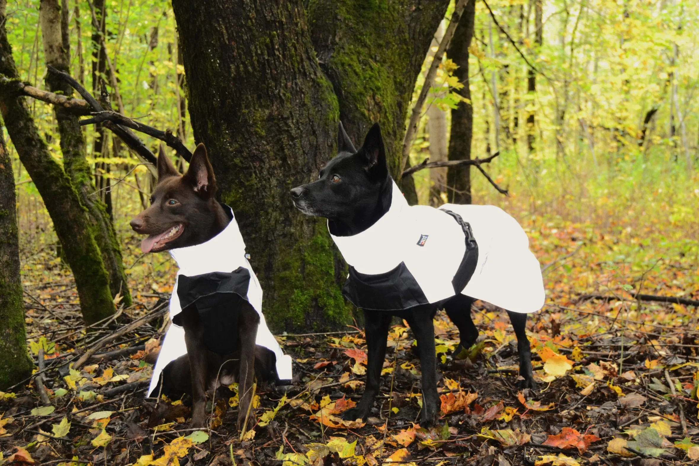 Rukka Pets Shine raincoat