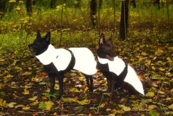 Rukka Pets Shine raincoat