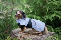 Rukka Pets Shine raincoat