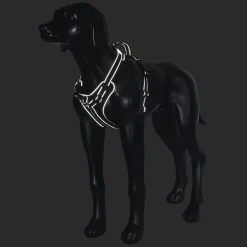 Rukka Pets Solid harness