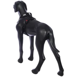 Rukka Pets Solid harness