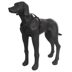 Rukka Pets Solid harness