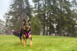 Rukka Pets Solid harness
