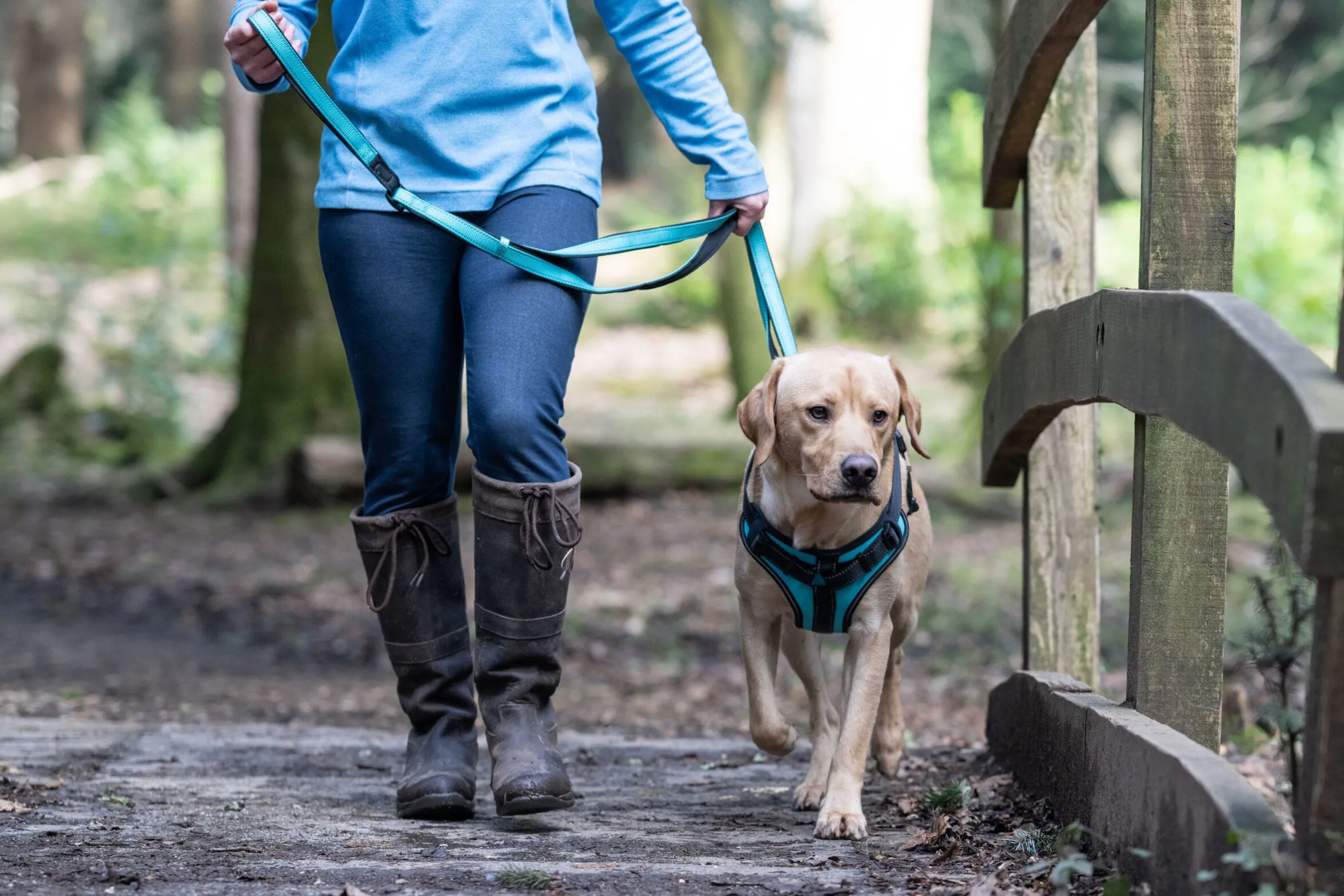 Rukka Pets Solid harness