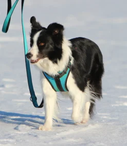 Rukka Pets Solid harness
