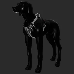 Rukka Pets Star harness