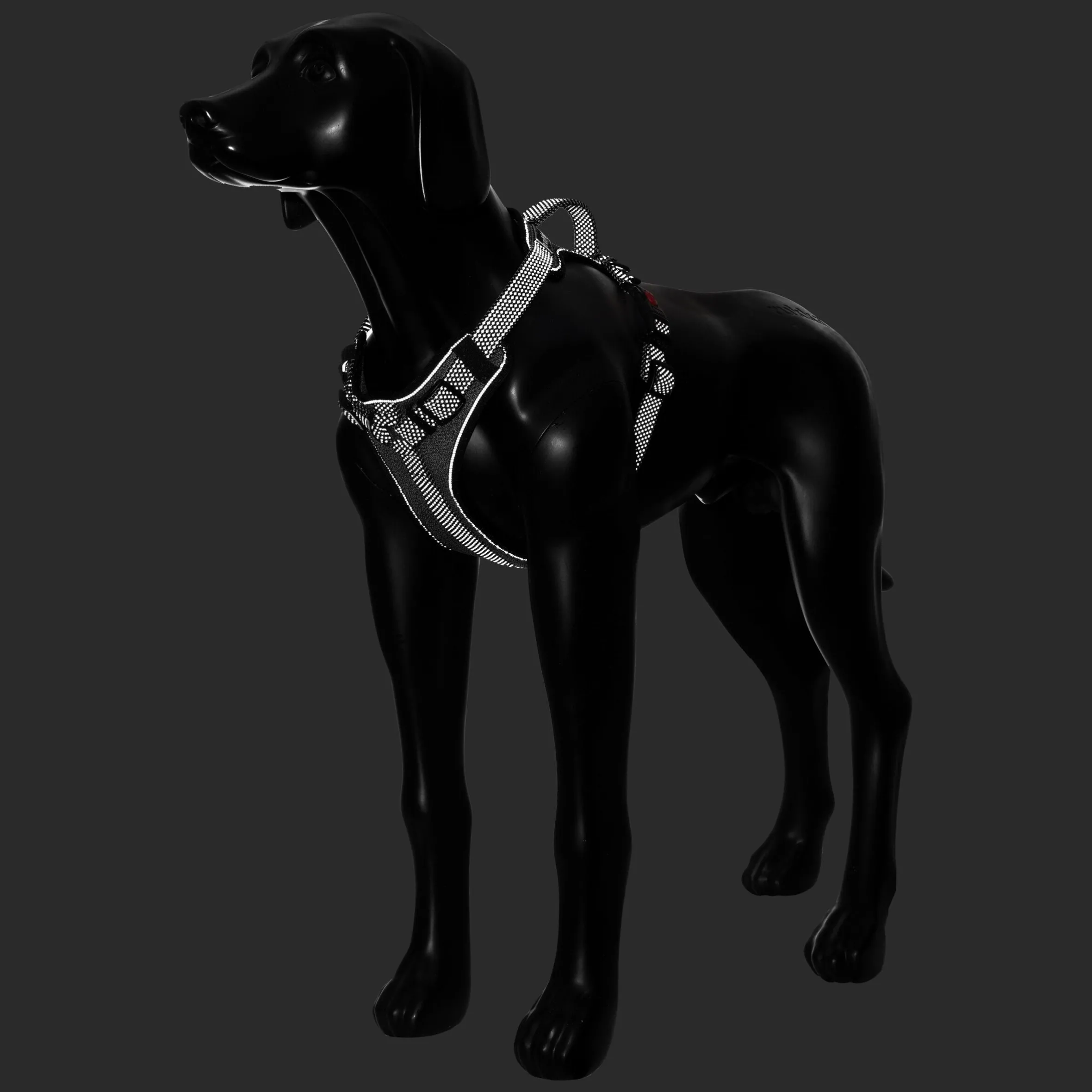 Rukka Pets Star harness
