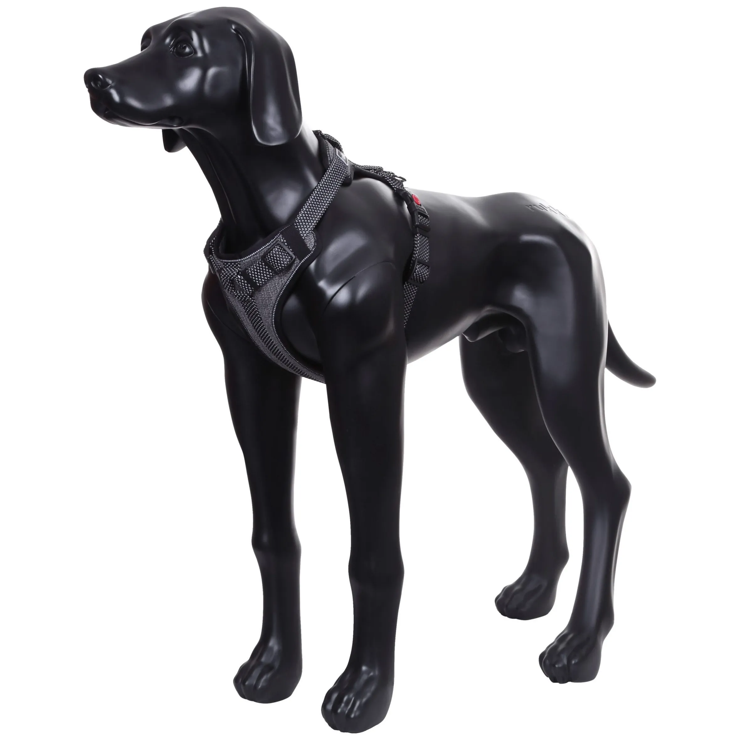 Rukka Pets Star harness