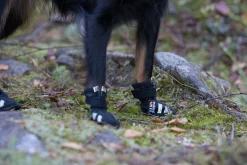 Rukka pets Step shoes