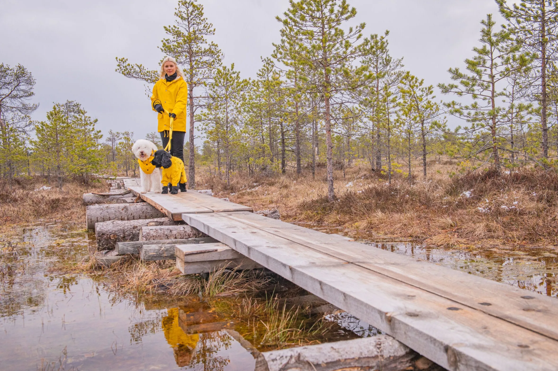 Rukka Pets Stream raincoat