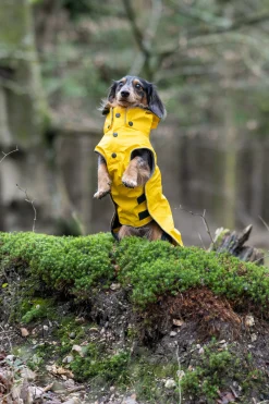 Rukka Pets Stream raincoat