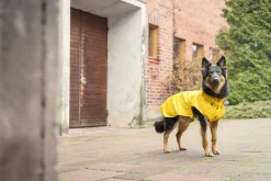 Rukka Pets Stream raincoat