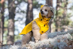 Rukka Pets Stream raincoat