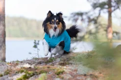 Rukka Pets Stream raincoat