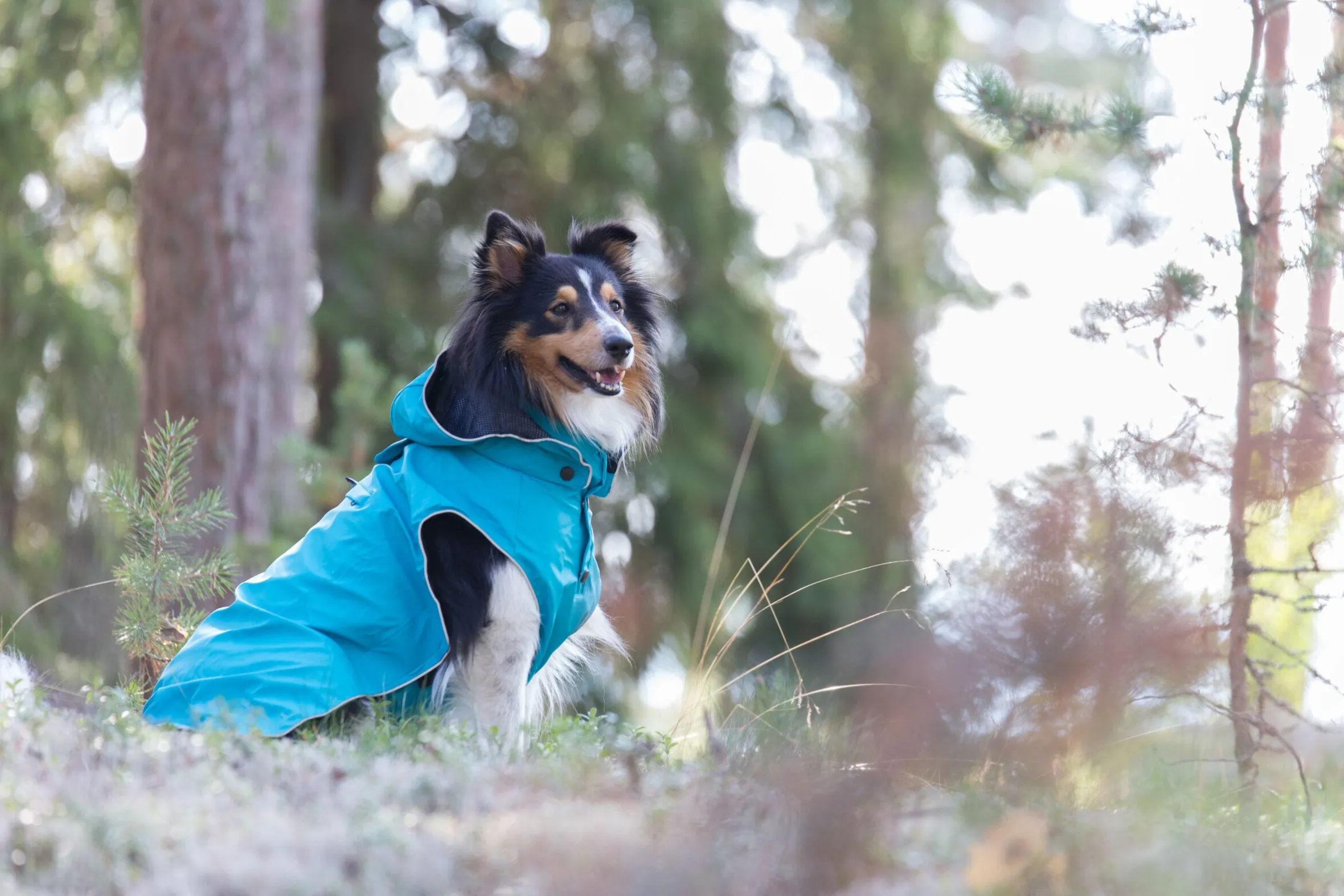 Rukka Pets Stream raincoat