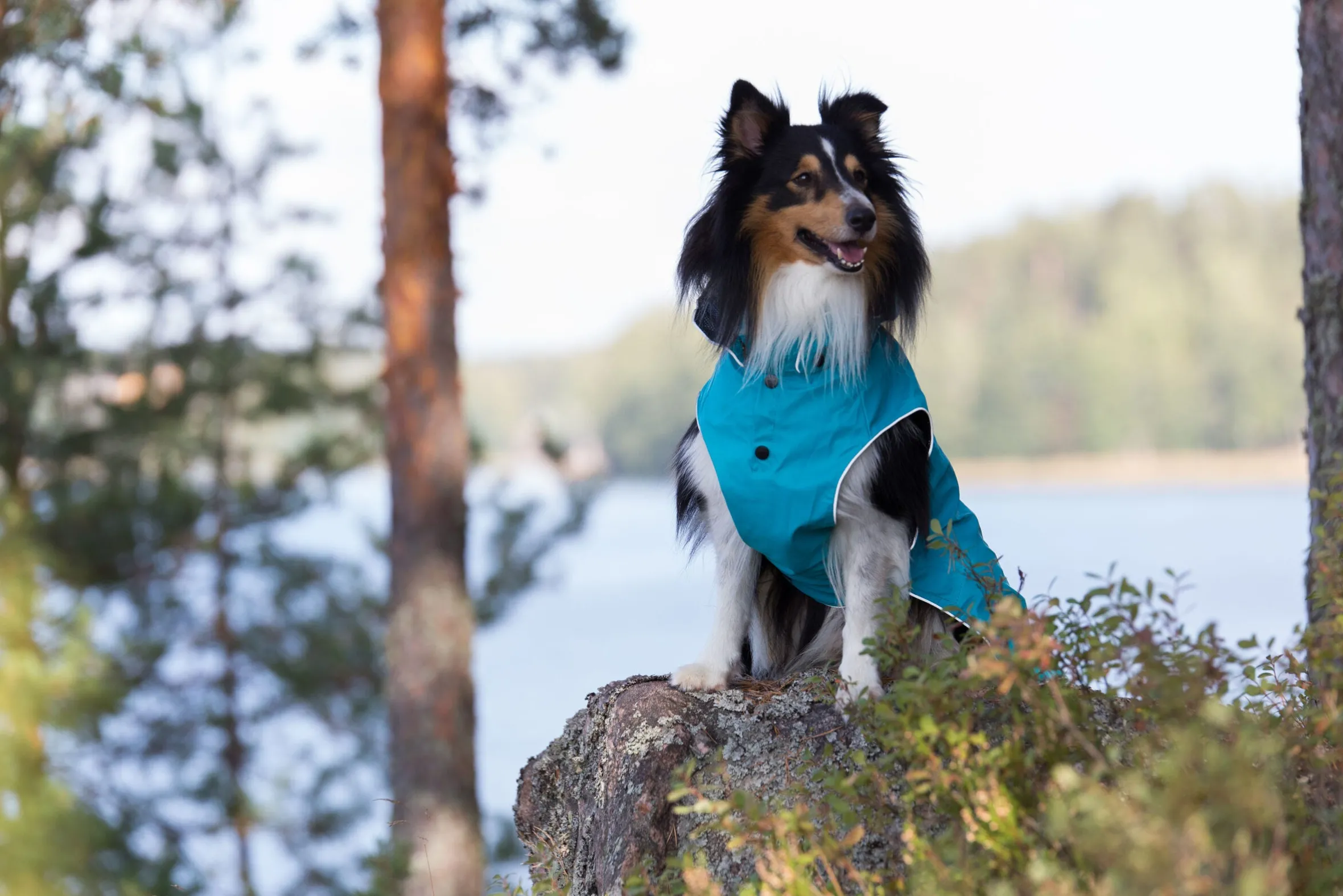 Rukka Pets Stream raincoat