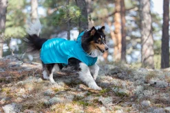 Rukka Pets Stream raincoat