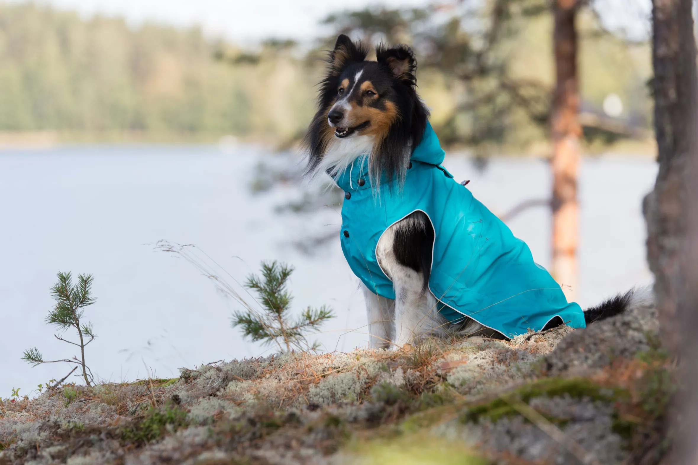 Rukka Pets Stream raincoat