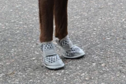 Rukka Pets Summer Shoes 2pcs