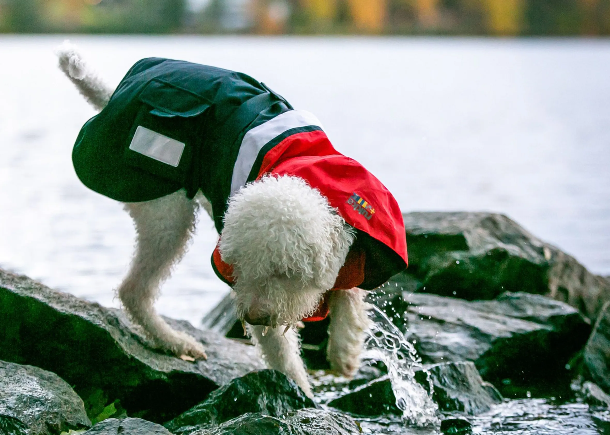 Rukkapets Wavy raincoat